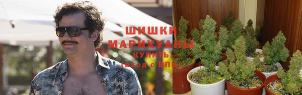 прущие крисы Медвежьегорск