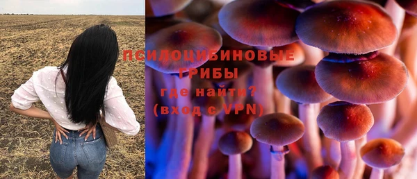 прущие крисы Медвежьегорск