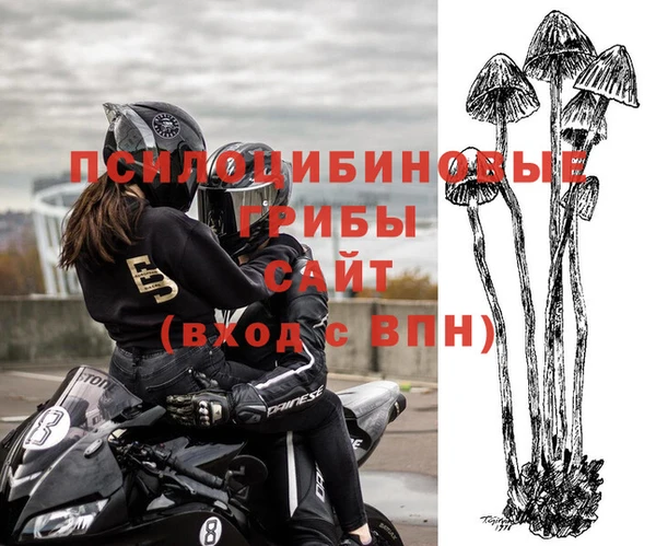 прущие крисы Медвежьегорск