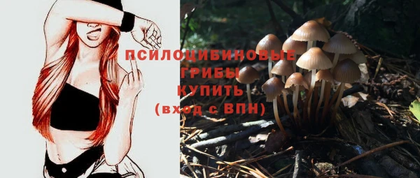 COCAINE Медногорск